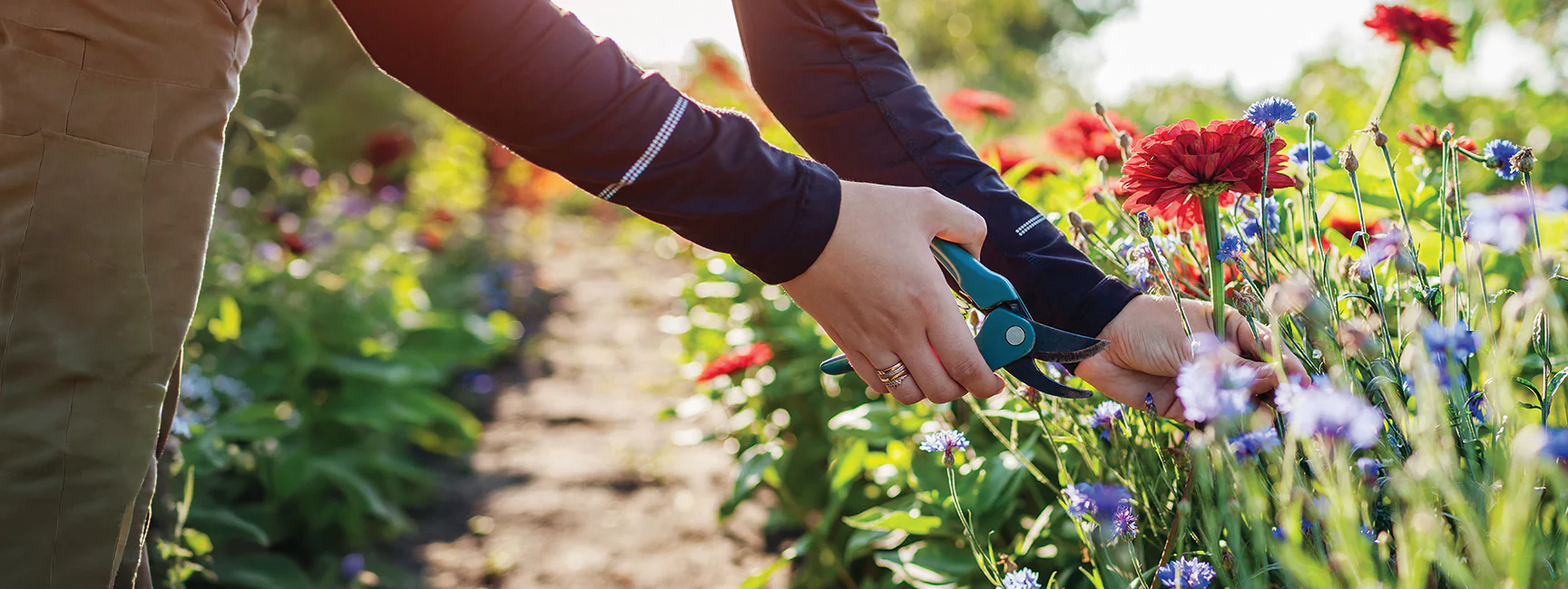 Cultivate the Garden You Deserve